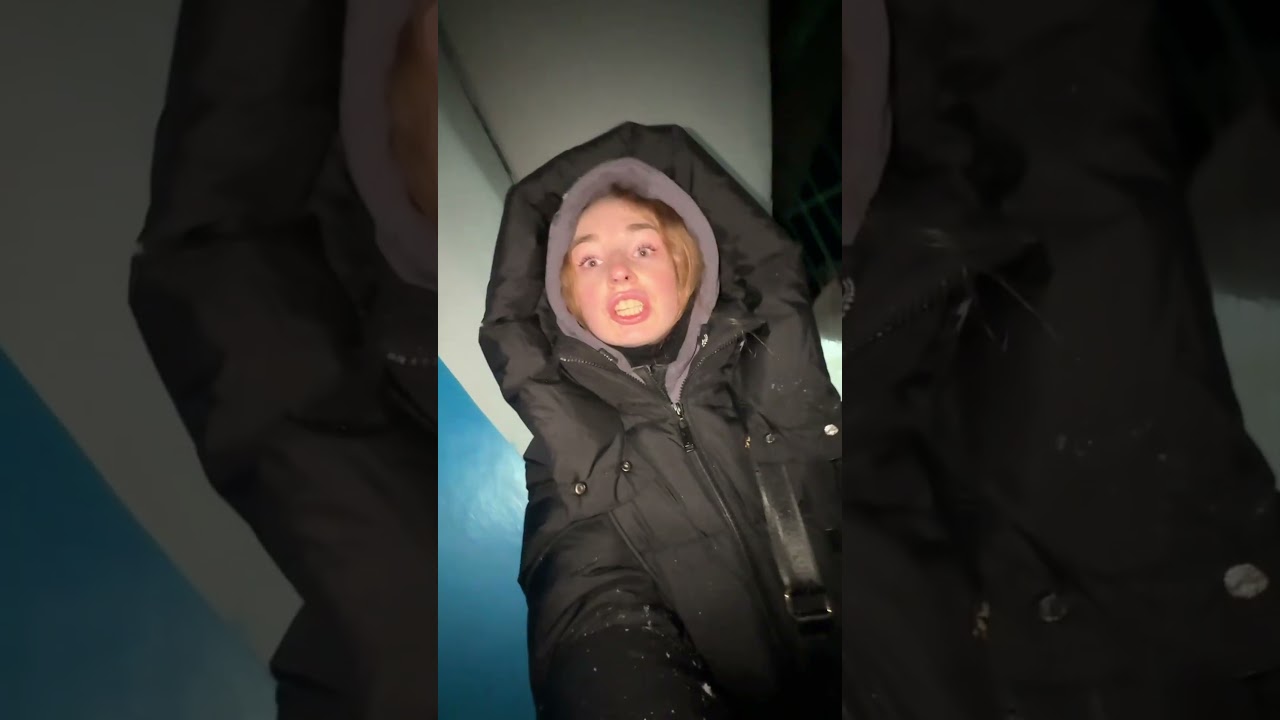 Показали домашним котам снег🐈‍⬛❄️ 