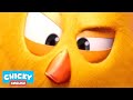 Where's Chicky? Funny Chicky 2020 | CHICKY | Chicky Cartoon in English for Kids