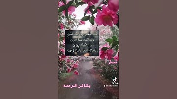 فقلت استغفروا ربكم انه كان غفارًا #قران #قران_كريم #quran #تلاوات #تلاوة_خاشعة #تلاوة #