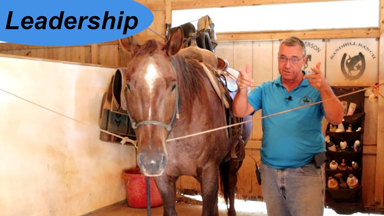 WRW Leadership starts with first contact