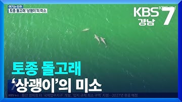 [60초 경남] 토종 돌고래 ‘상괭이’의 미소 / KBS  2022.07.26.