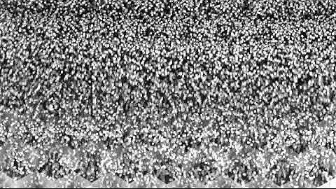 blender 2.5 particle dupliverts