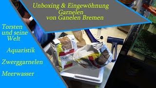 "Neue Garnelen! Unboxing &amp; Eingewöhnung von Ganelen Bremen