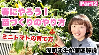 【春の家庭菜園】野菜の苗作りに挑戦しよう！簡単なのはミニトマト