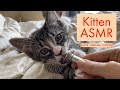 Kitten asmr very soothing  satisfying
