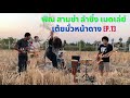 พิณ พิณซิ่งมันๆ พิณแห่มัน เมดเล่ย์ สามช่ามันๆ กลางทุ่งนา [Ep.13]