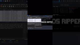 🚨 САЙТ “ПАДАЕТ” — И ЭТО НЕ СЛУЧАЙНО #shorts #dontgethacked #ddos #cybersecurity #infosec