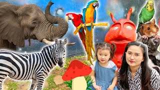 Cam Cam đi safari thiên đường Bảo Sơn gặp các con vật : con voi, khủng long, ngựa vằn, hươu cao cổ screenshot 5