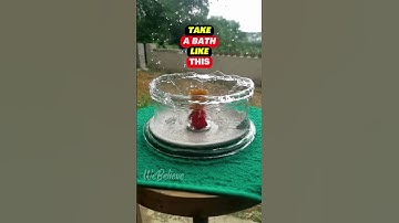 Take A Bath Like This | Satisfying Video | Slow Motion #shorts #youtubeshorts #shortsvideo