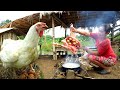 Woman runs to catch big white chicken in the mountains - She cooks them for dogs and ducklings