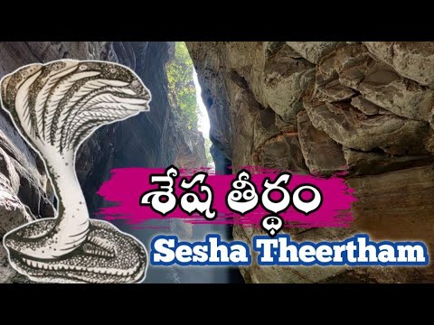 Vlog 17 Sesha Theertham     Tirumala secret    