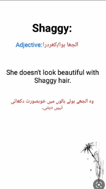 Shaggy Sentence shaggy Meaning In Urdu shaggy Adjective YouTube shaggy-sentence-shaggy-meaning-in-urdu-shaggy-adjective-youtube