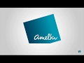 Amelkis solutions  consolidation reporting  rse