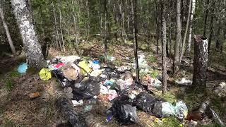 Скоро тысячи УДИВИТЕЛЬНЫХ людей повезут за город , в лес , свой бытовой мусор !