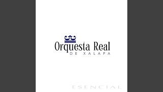 Video thumbnail of "Orquesta Real de Xalapa - Por Ti Volaré"