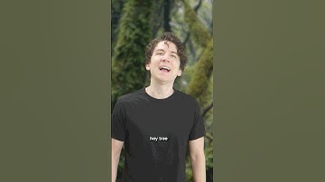 tree of ancient knowledge and wisdom