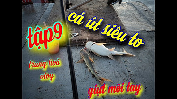 Trung Hoà vlog , trải nghiệm câu cá giải trí trên sông Nhà Bè. Cá lên liên tục