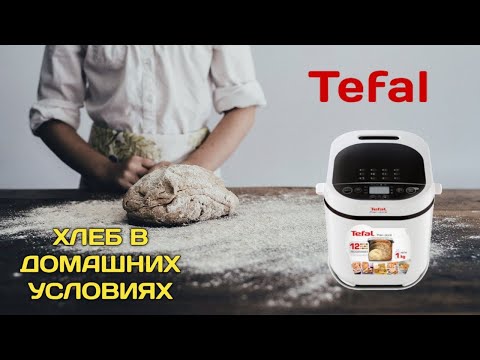 Видео: Шарах тогоо 