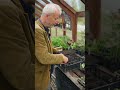 Potting on when it's too cool for warmth loving plants outside