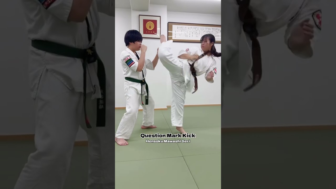 Hensoku Mawashi Geri  