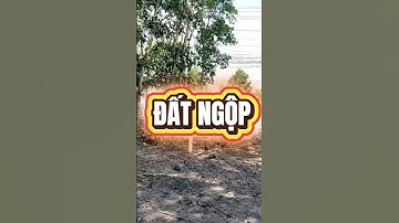 Đất Dầu Tiếng I Bán gấp lô Nhựa ĐT 744 Thanh  An - Dầu Tiếng  Giá rẻ #datdautieng