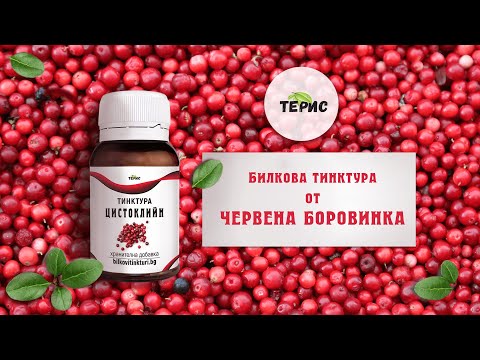 Видео: Червена боровинка за кучета - Могат ли кучетата да ядат червени боровинки?