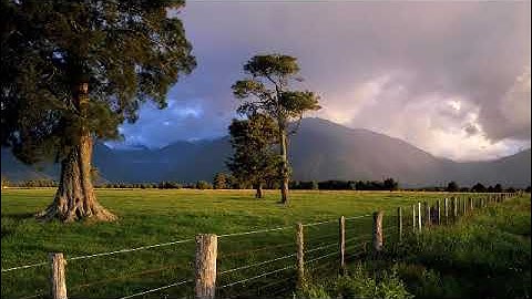 سورة الحج بصوت القارئ الزبير الوصابي