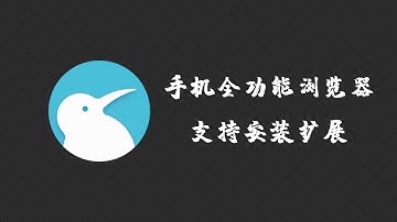 全功能手机浏览器，支持安装电脑端扩展。-- Kiwi Browser