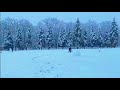 Краснодар первый снег в 2021 году Чистяковская Роща