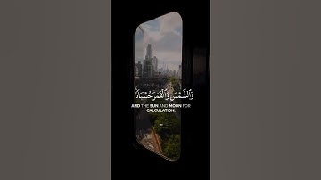 القارئ عمر الدريويز ❤️🥺