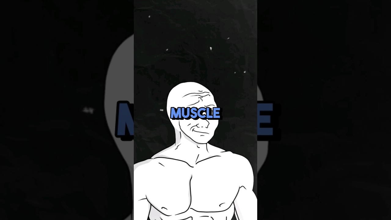 How to gain muscle #gym #buildmuscles #muscles #gymbro #Discipline