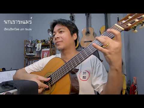 นกเขาขะแมร์ เรียบเรียงกีตาร์โดย เอก ชะเอม