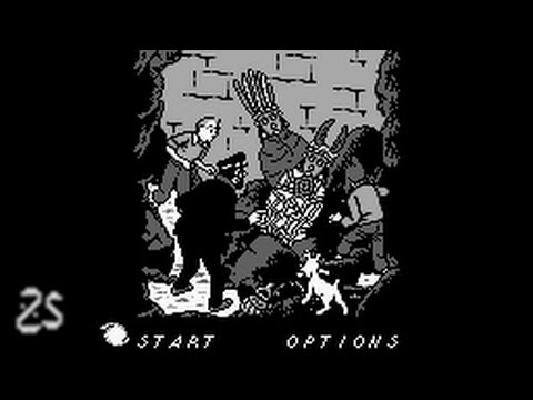 Tintin: Le Temple Du Soleil (Game Boy) - speedrun