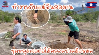 ทำงานกับแม่จันสองคน￼ขุดหลุมเจอต่อไม้ตลอดปวดมือหมด|ToiyYoiy