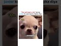 “You’ll Learn a Lot” – Senior Employees Be Like 😈 | Shorts #codewithmishu #shorts