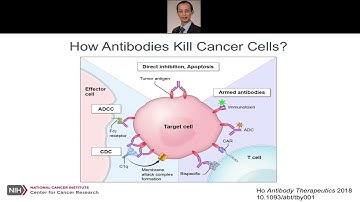 Antibody Binding Sites as Therapeutics: From scFv to VHH and VNAR
