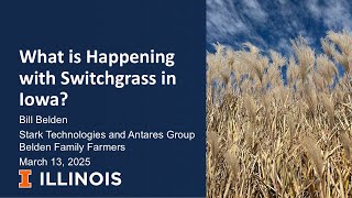 What's Happening With Switchgrass in Iowa?