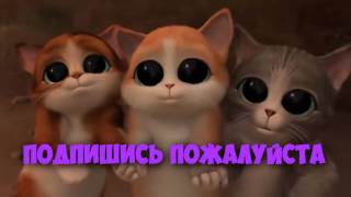 Свинка Пеппа ~ Барабанщица | ВСЕ СЕРИИ ПОДРЯД,БЕЗ РЕКЛАМЫ И БЕЗ ПАУЗЫ Свинка Пеппа ~ Барабанщица | ВСЕ СЕРИИ ПОДРЯД,БЕЗ РЕКЛАМЫ И БЕЗ ПАУЗЫ