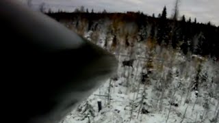 MOOSE HUNTING ! охота на лося с вышки MOOSE HUNTING ! охота на лося с вышки