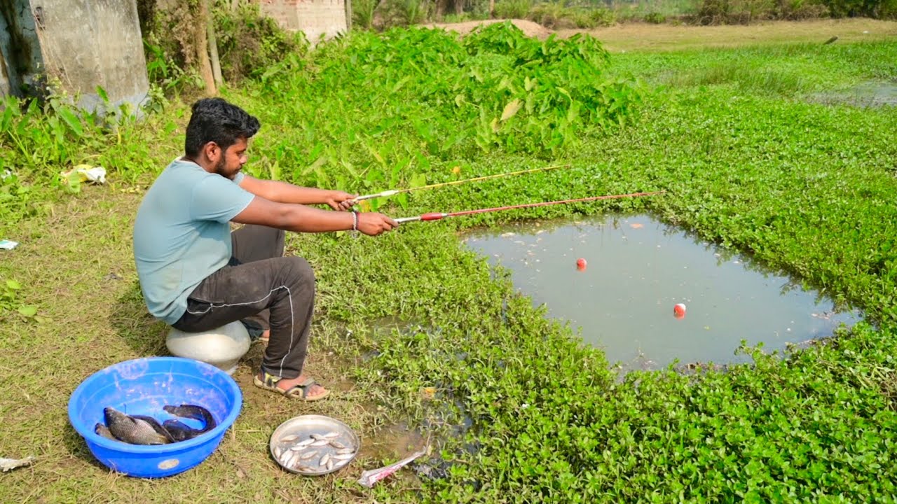 Fishing Video || It was really nice to see the fishing technique from the canal || Amazing Hook Trap