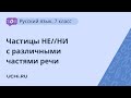 Русский язык 7 класс: частицы НЕ//НИ с различными частями речи