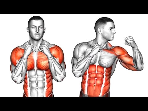 EXERCÍCIOS DE BOXE