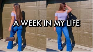 A Week In My Life | Home Workouts | Grocery haul | shopping