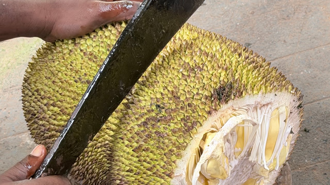 🛑ചക്ക പാകമായി ഇനി ഇങ്ങനെ വെട്ടിക്കോ l Jackfruit cutting hack - YouTube
