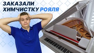 Химчистка дивана, ковра и РОЯЛЯ. Самый необычный заказ за 5 лет работы! Как почистить рояль?