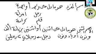 طيور لا تطير - اللغة العربية للصف الرابع الابتدائي للأستاذ/ مجدي عبد الفتاح