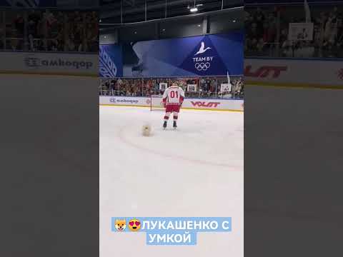 😍Самое милое видео с ХОККЕЯ! // Лукашенко с Умкой! #shorts #лукашенко #президент #беларусь