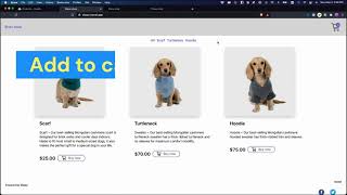 Monday Hackathon - NoCode Ecommerce storefront