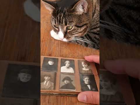 Винтажный фотоальбом #shorts