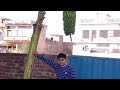 Hamara vegetable garden second vlog  romy mannat